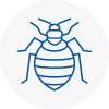 Bed Bug Extermination In Thornton Cleveleys